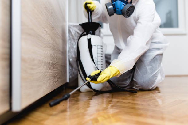 Best Affordable Pest Control Services  in Englewood, TN
