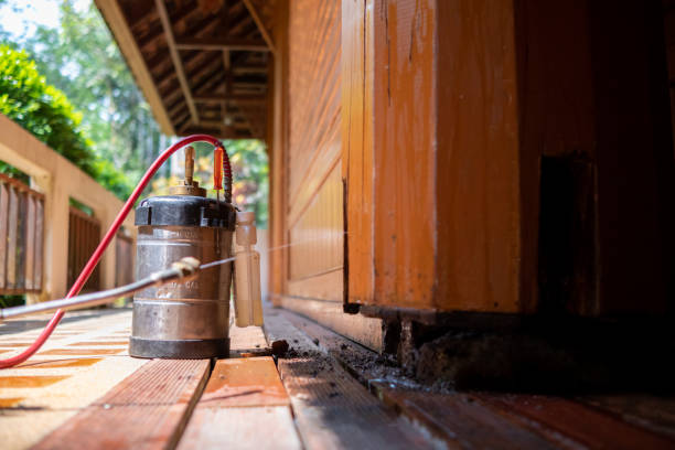 Best Best Pest Control Companies  in Englewood, TN