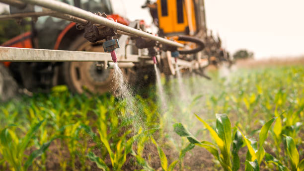 Best Mosquito Control Services  in Englewood, TN
