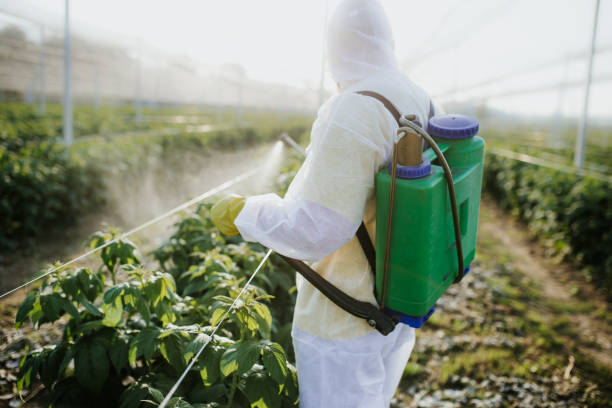 Wildlife Control Services in Englewood, TN